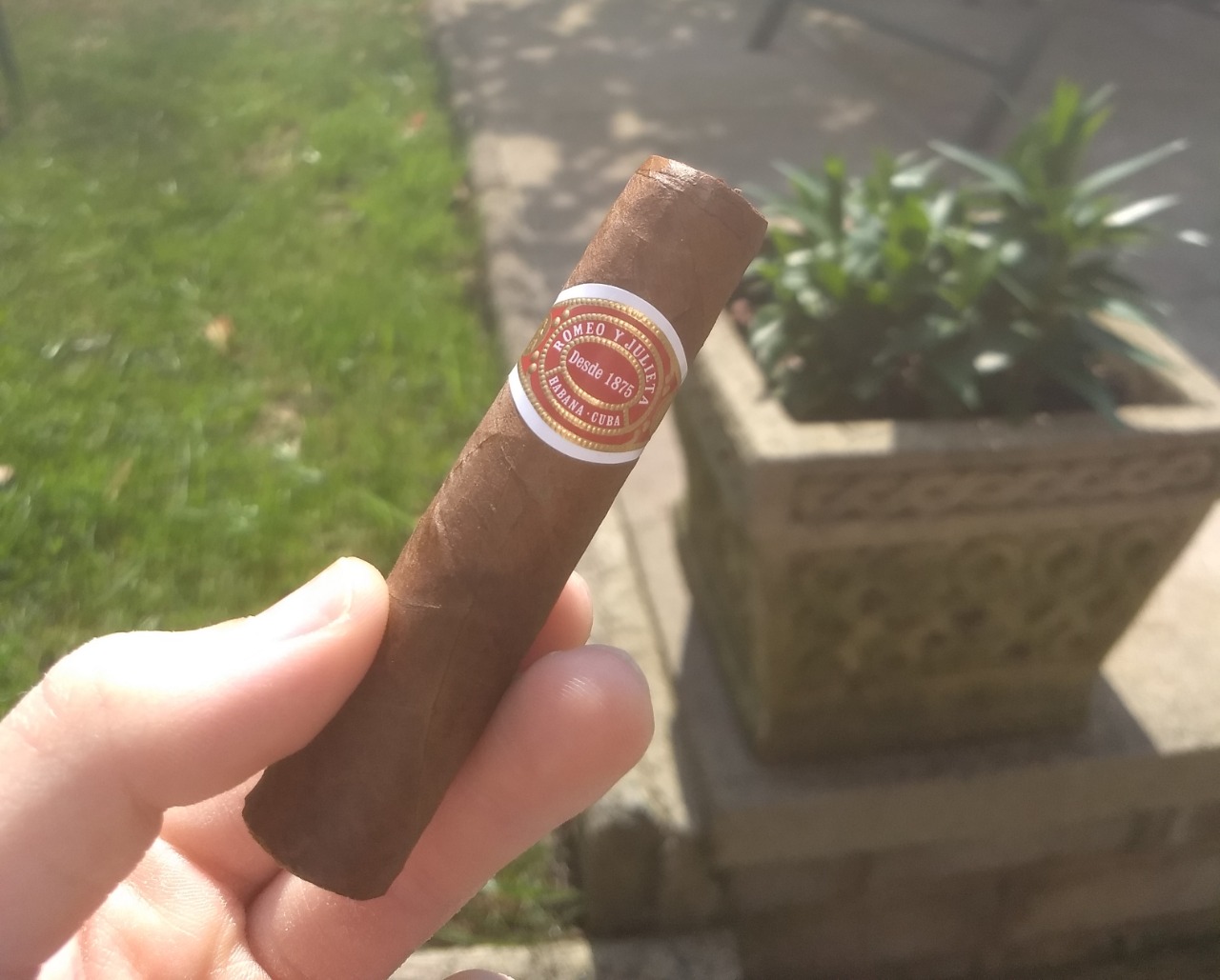 Romeo Julieta Petit Royals