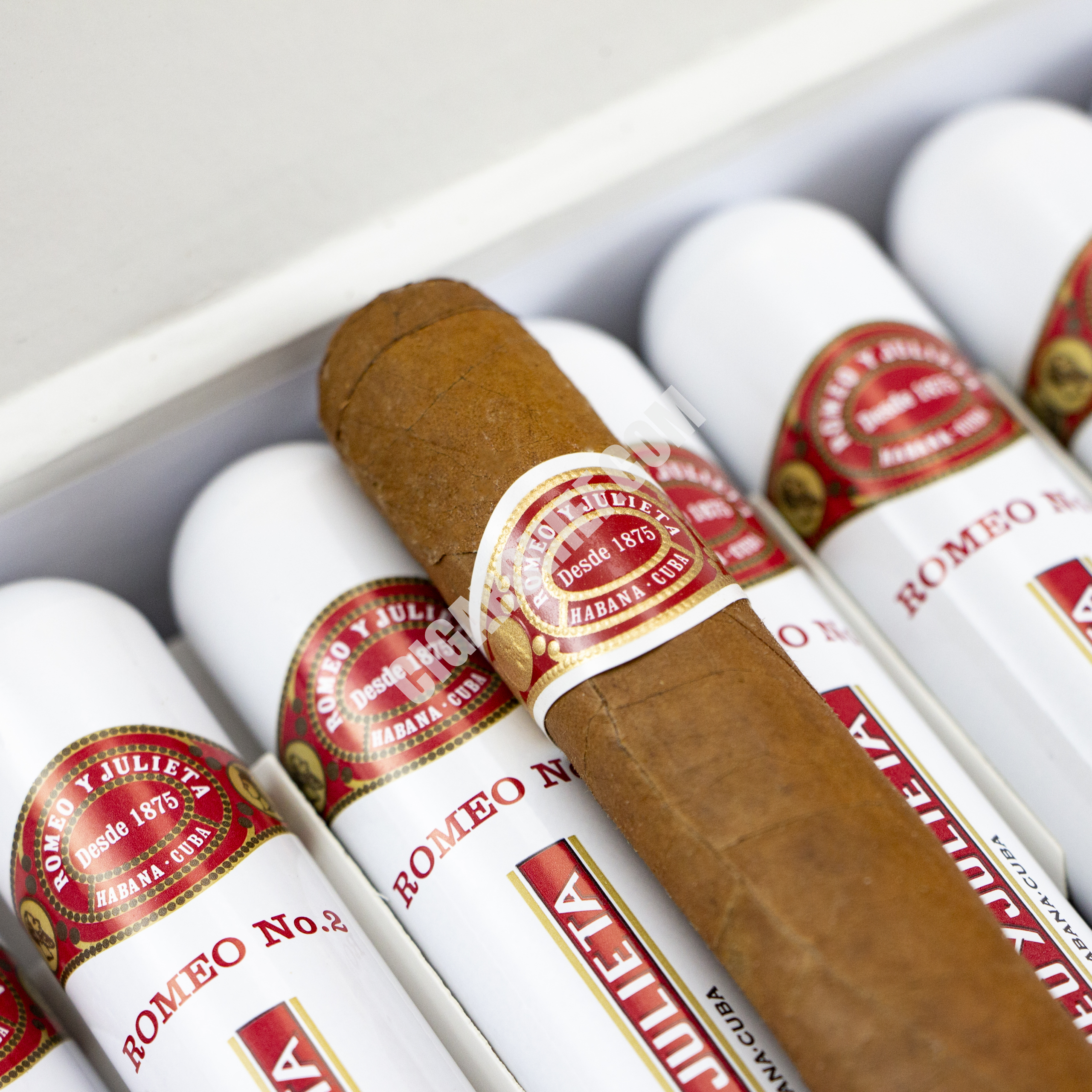 Romeo Julieta No. 2